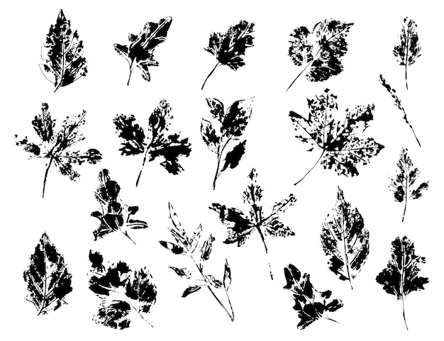 Set of stamp leaves. Black and white isolated plants