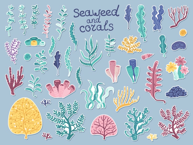 Set of stickers with algae and corals