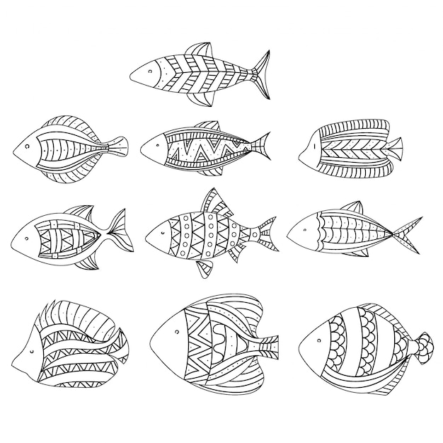 Set of  stylized fishes. Collection of aquarium fish. Linear Art.