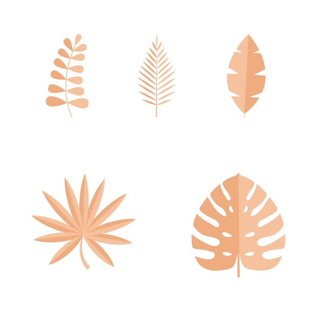 Set of Summer tropical leaves isolated on white background. illustration.