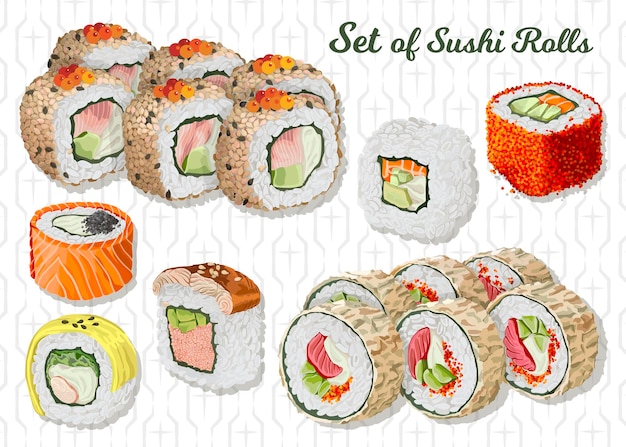 Set of sushi rolls Isolated vector illustration