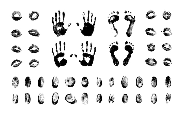 Set of Textured Fingerprints