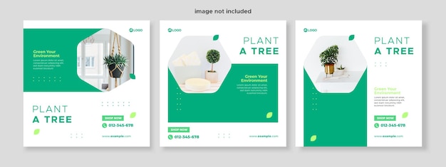 Set of three minimalist background of plant a tree of nature promotion banner social media pack template premium vector