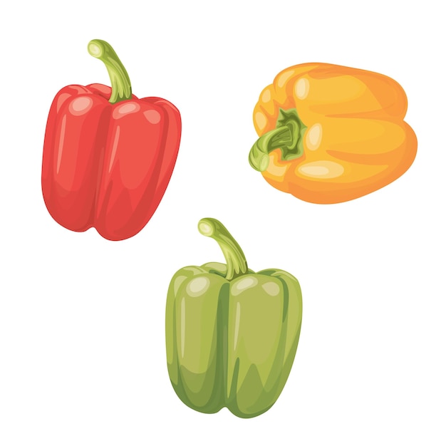 Set of three peppers Yellow red and green pepper Vector illustration