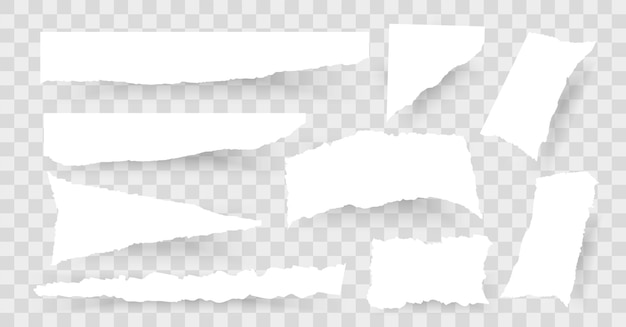 Set of Torn paper.Ripped paper.Vector