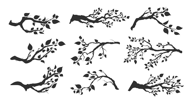 Set of tree branches with leaves isolated