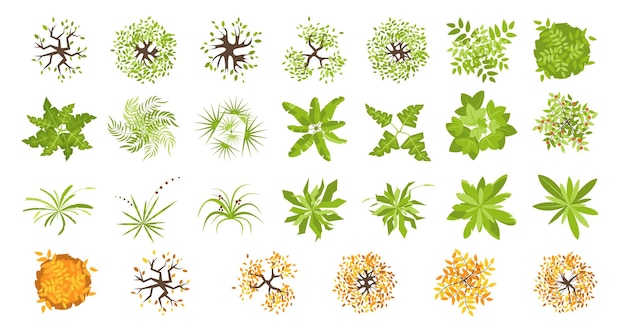 Set of trees and plants top view for landscape design Icon set foliage grass for project map plan