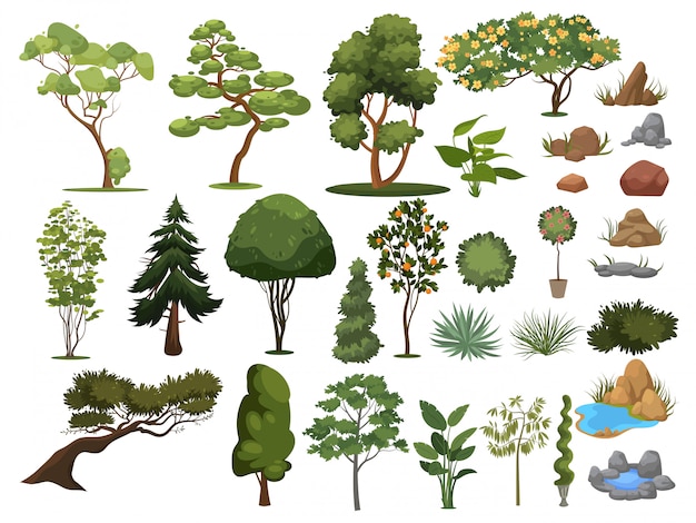 Set of trees and shrubs. Collection of landscape design elements.   illustration.