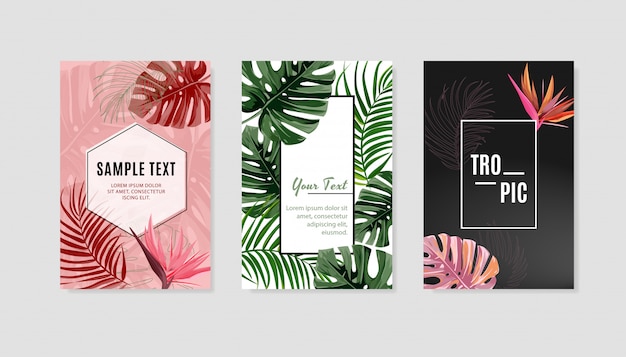 Set of tropical design cover template.