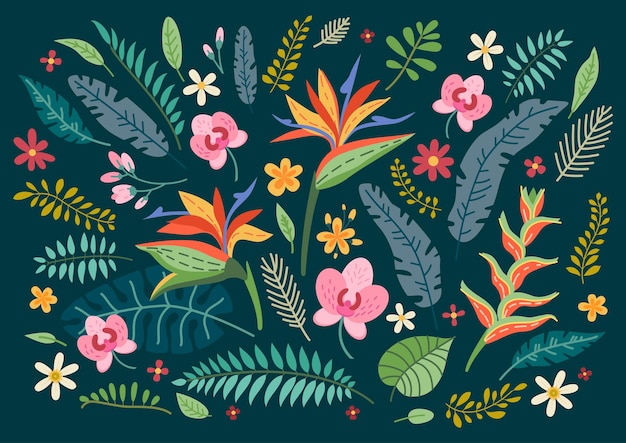 Set of tropical flowers