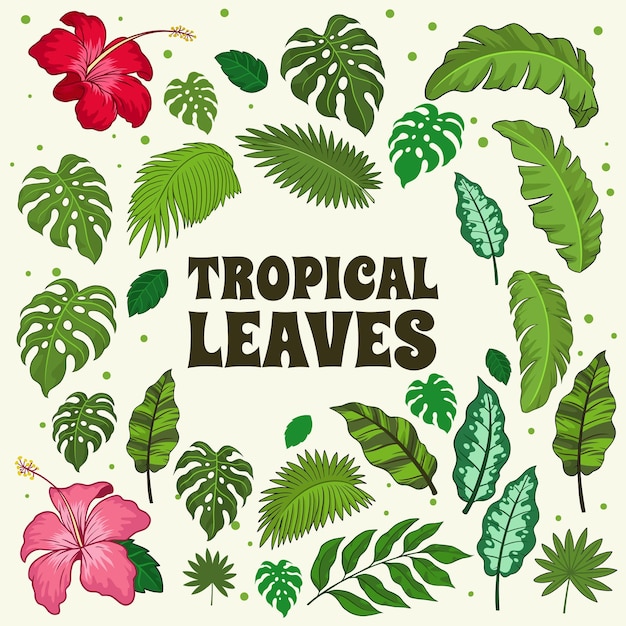 Set of tropical leaves drawing