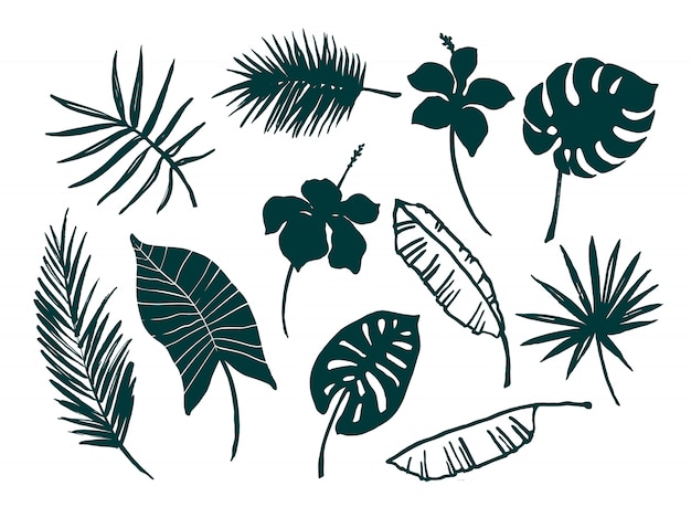 set of tropical leaves and flowers.