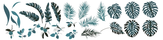 Set of tropical leaves in minimal style