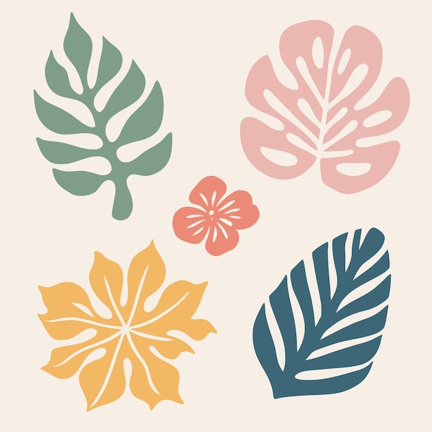 Vector set of tropical leaves palm flower monstera vector flat cartoon illustration