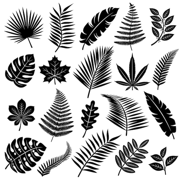 Set of tropical leaves Vector