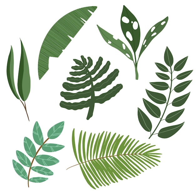 Set of tropical leaves with botanical vibes in flat design