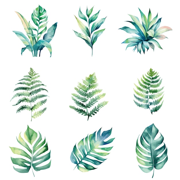 A set of tropical leaves.