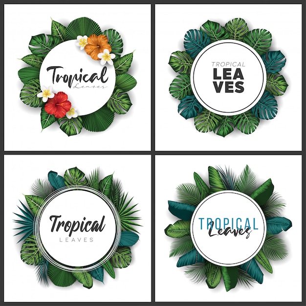 Set of tropical summer leaves background with jungle plants