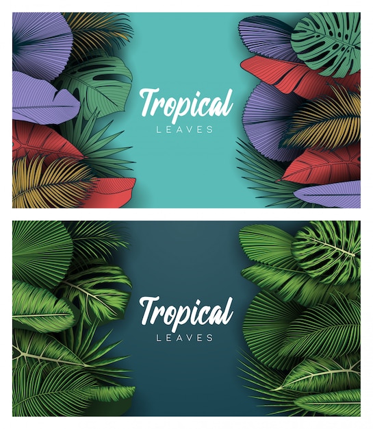 Set of tropical summer leaves background with jungle plants