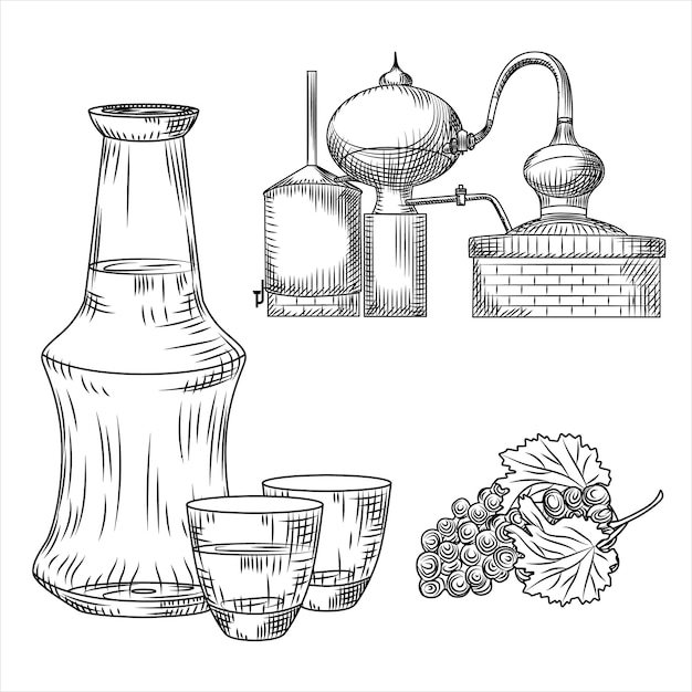 Set Tsipouro Greek alcohol. Glass, bottle, grape, alembic. Engraving vintage style  illustration.