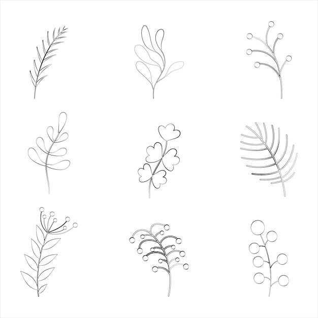 Vector a set of twigs of plants and flowers with a thin line