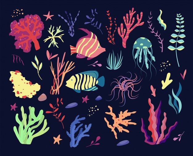 Vector set of underwater sea world dwellers, flora and fauna elements. algae, coral reef, fishes and medusa.   cartoon illustration.