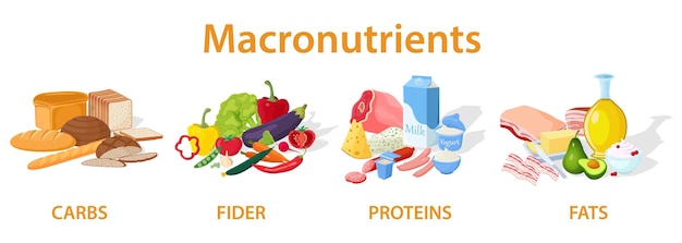 A set of useful macro nutrients Fiber proteins fats and carbohydrates A set of useful products