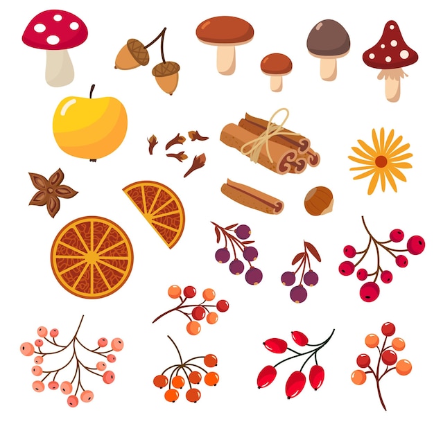 set of various autumn items isolated on transparent background mushrooms berries autumn fruits