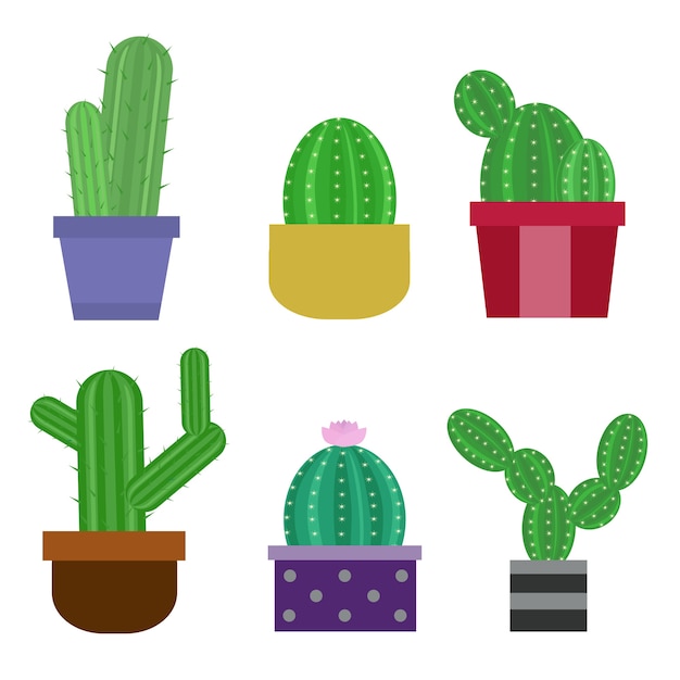 Set of Various Cactus in pots, Flat Style Design