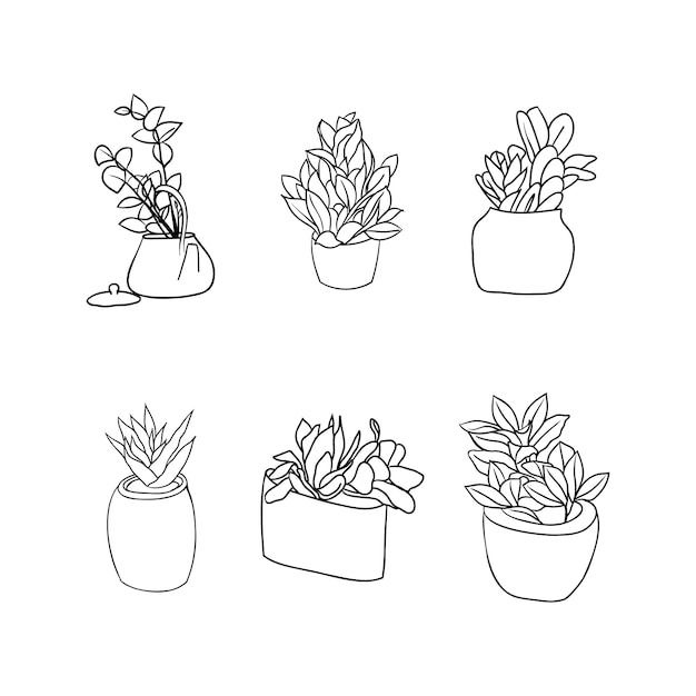 set of various house plant in pot one line icon drawing, linear sketch, doodle