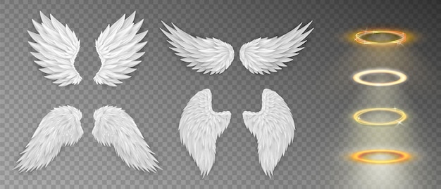 Set of various realistic 3d white angel wings Cartoon bird wings isolated on transparent background