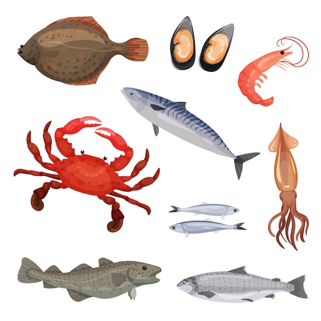 Set of various seafood. Fish, crab and mollusks. Marine animals. Sea creatures. Detailed   icons