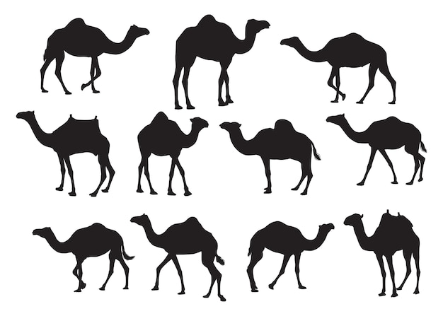 Set of vector camels Black silhouettes isolated on white background ai generated