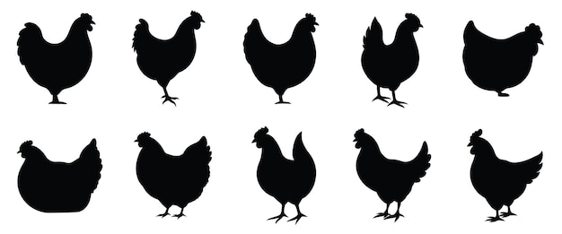 Set of vector chicken black silhouettes isolated on white background