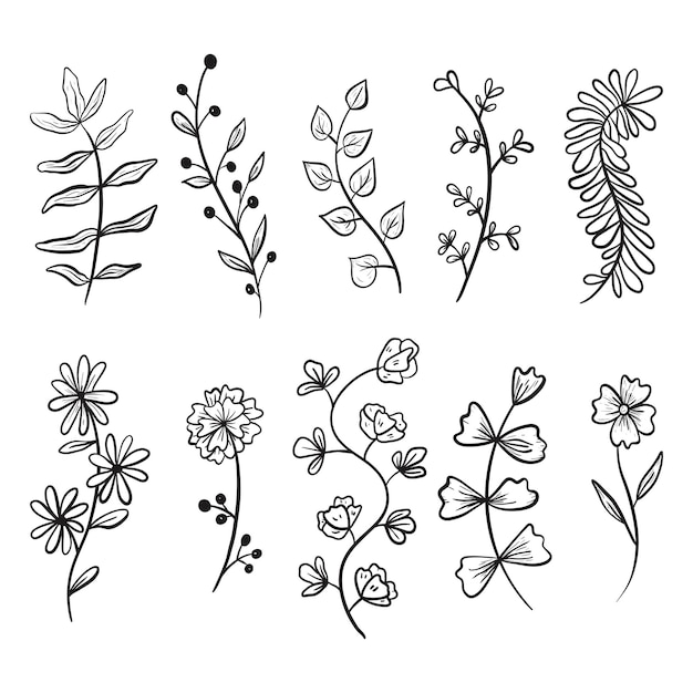 Set of vector doodle icons Collection of design elements branches and twigs with leaves flower buds and petals