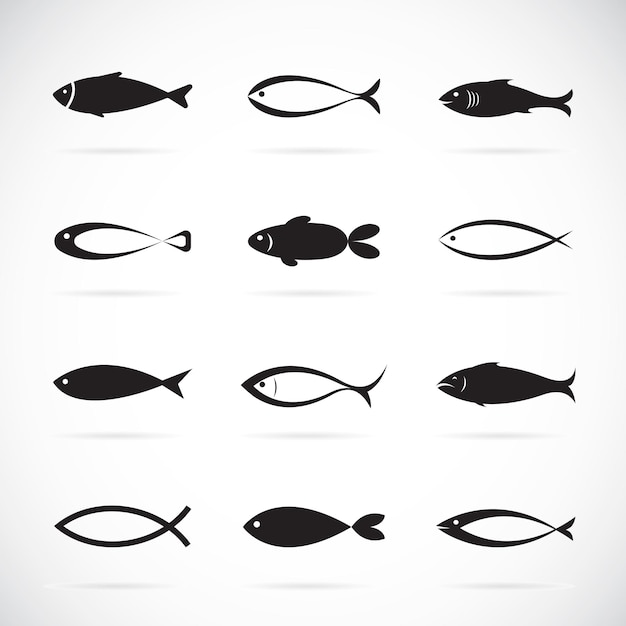 Set of vector fish icons on white background, Vector fish icons for your design.