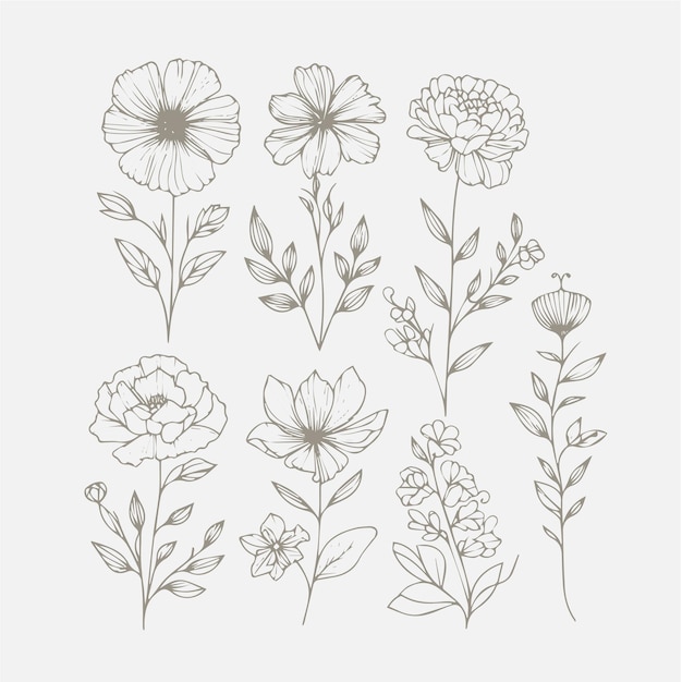 Set of vector hand drawn flowers Floral design elements Can be used for cards invitations banner