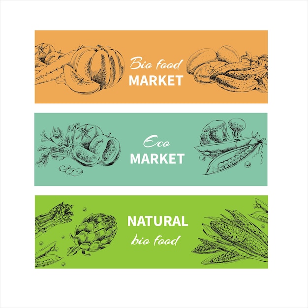 A set of vector handdrawn healthy food banners Vintage style Retro sketch