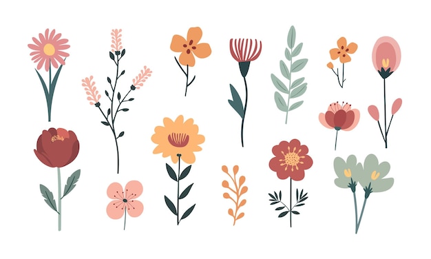 Set of vector illustrations of flowers in doodle style on a white background for design and invitat