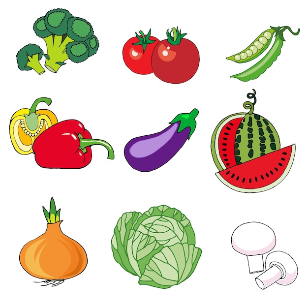 Set of vector images of vegetables broccoli tomatoes peas eggplant cabbage onion paprika watermelon