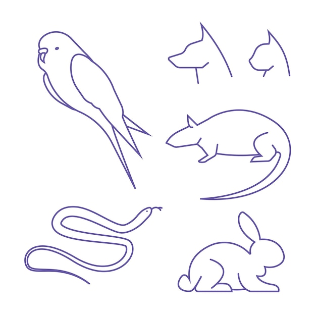 Set of vector line icons of pets, cat, dog, parrot, rabbit, rat, rodent, snake