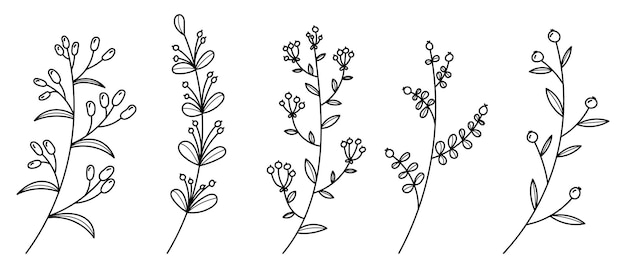 Set of vector plants and herbs Hand drawn floral elements Silhouettes of natural elements for seasonal backgrounds Doodle style Vector illustration