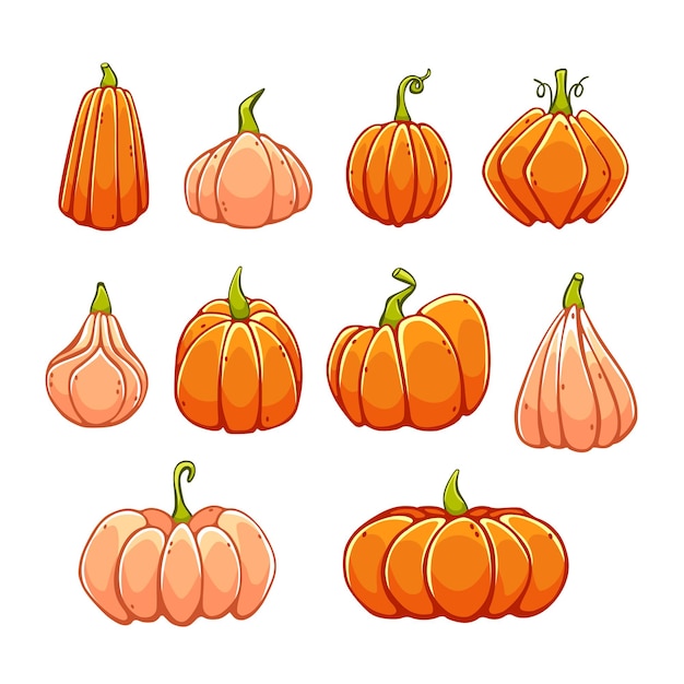 Set of vector pumpkins in cute cartoon style