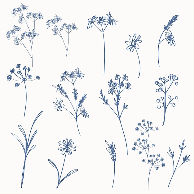 Set of vector rustic hand drawn simple plants for design