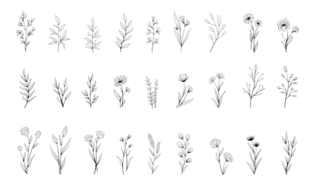 Set of vector vintage floral elements.