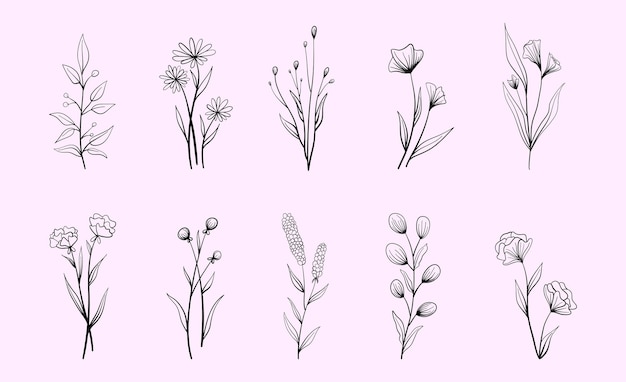 Set of vector vintage floral elements.