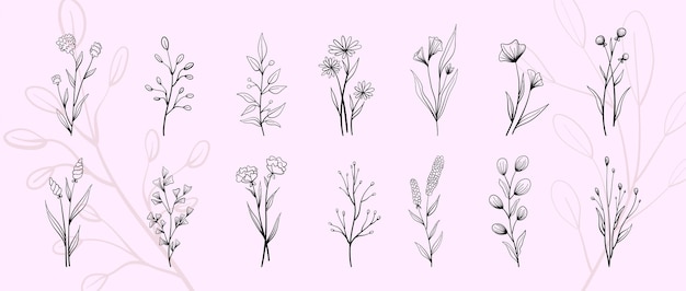 Set of vector vintage floral elements.