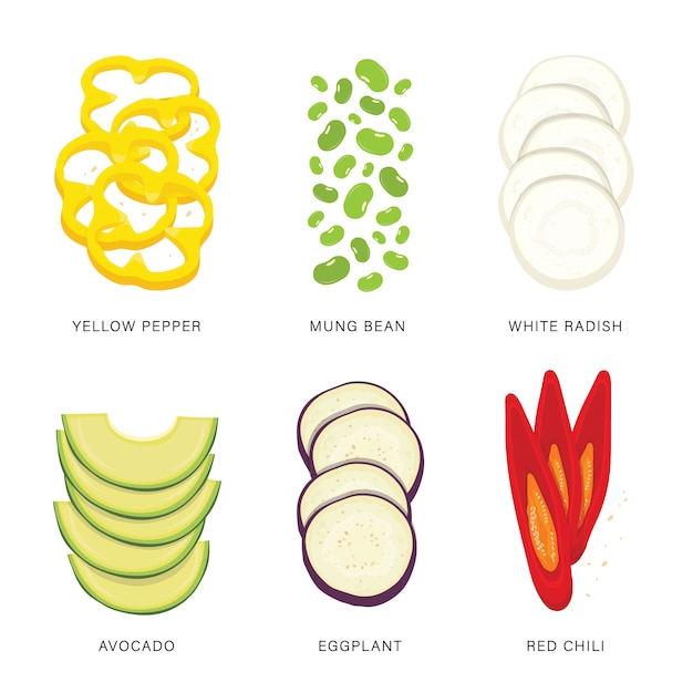 Set of Vegetable Slices. Organic and healthy food isolated element illustration.