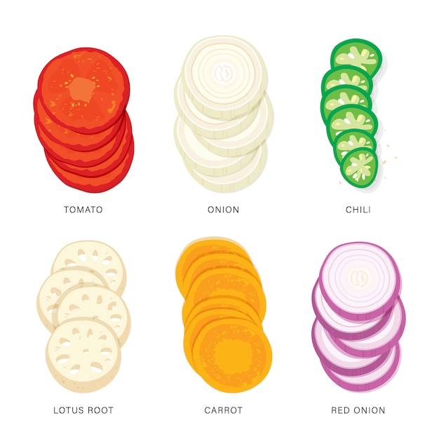 Set of Vegetable Slices. Organic and healthy food isolated element illustration.