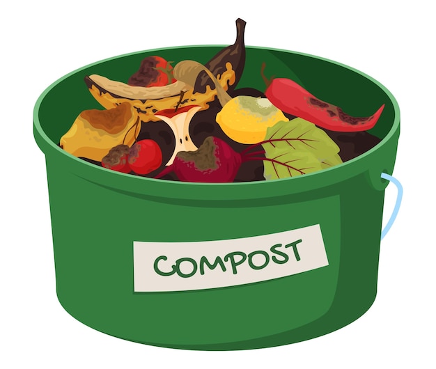 Set of vegetables fruits rotting products Composting food Perishable products Vector illustration on a white background